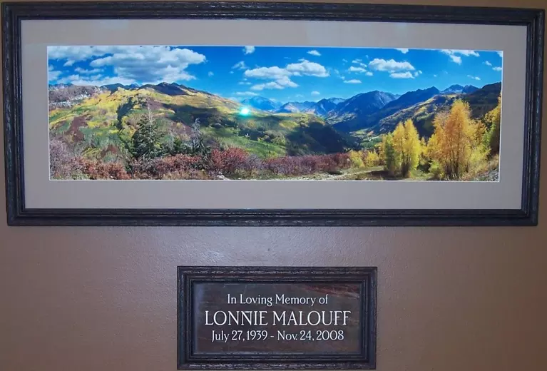 lonnie mem